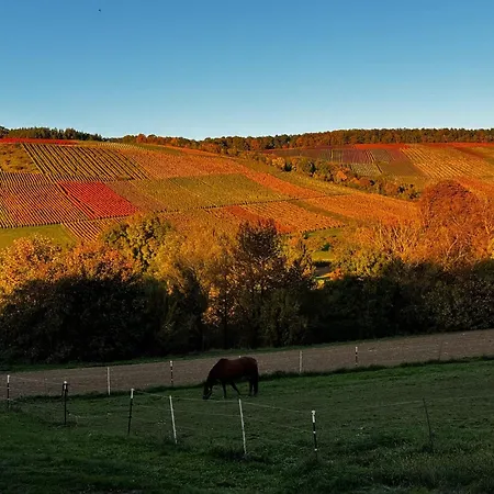 Lägenhet Auszeit Taubertal Bad Mergentheim