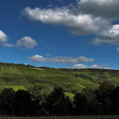 Auszeit Taubertal شقة *